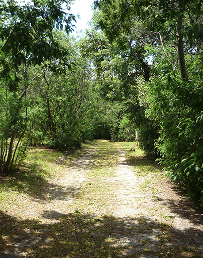 À découvrir aux alentours de Laroque-des-Albères